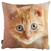 Kedili Yastık Kılıfı-46